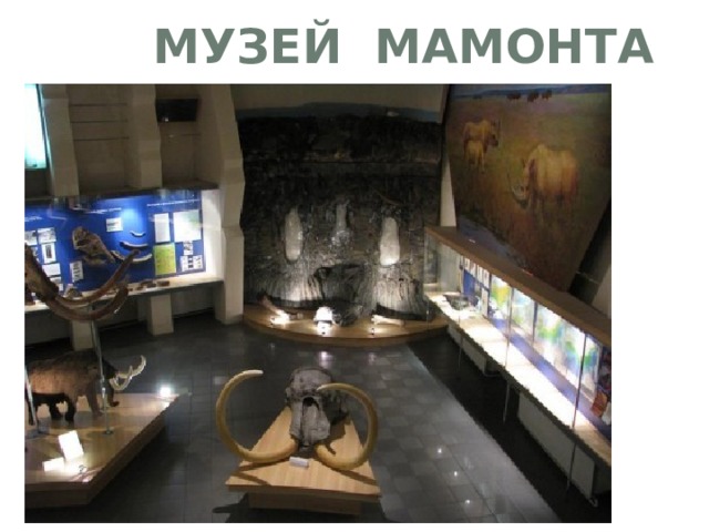  Музей мамонта 