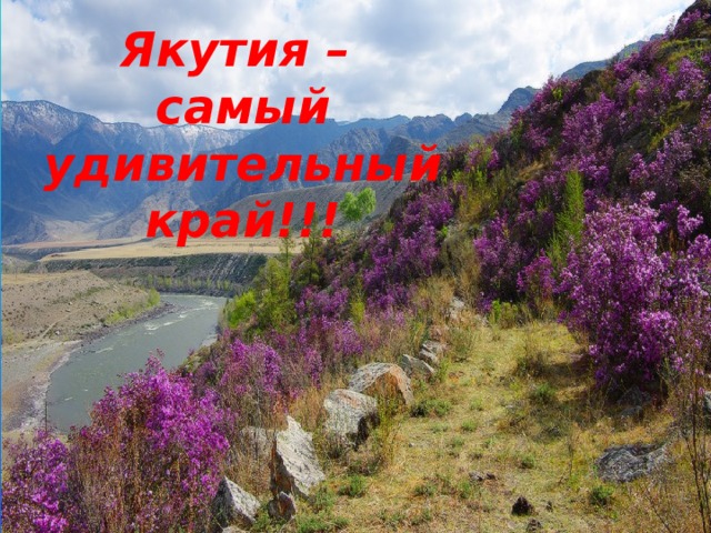 Якутия –  самый удивительный край!!! 