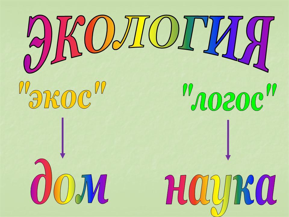 Проект экология презентация