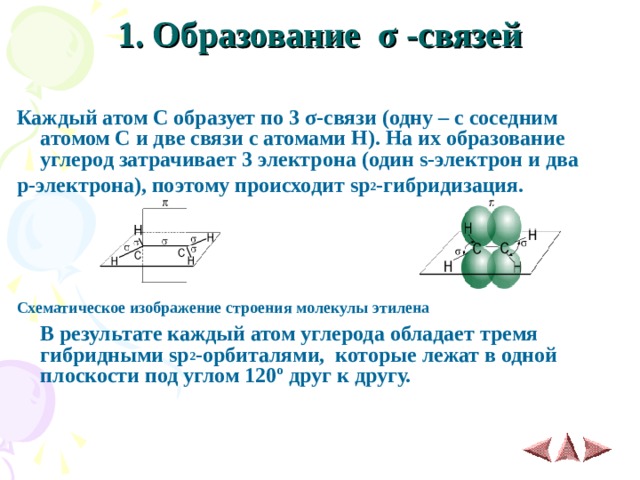 1. Образование σ -связей   Каждый атом С образует по 3 σ -связи (одну – с соседним атомом С и две связи с атомами Н). На их образование углерод затрачивает 3 электрона (один s- электрон и два р-электрона), поэтому происходит sp 2 -гибридизация.                           Схематическое изображение строения молекулы этилена   В результате каждый атом углерода обладает тремя гибридными sp 2 -орбиталями, которые лежат в одной плоскости под углом 120º друг к другу.   