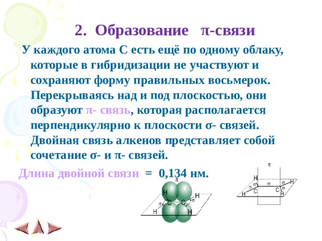   2. Образование π -связи  У каждого атома С есть ещё по одному облаку, которые в гибридизации не участвуют и сохраняют форму правильных восьмерок. Перекрываясь над и под плоскостью, они образуют π - связь , которая располагается перпендикулярно к плоскости σ - связей. Двойная связь алкенов представляет собой сочетание σ - и π - связей.  Длина двойной связи = 0,134 нм.   