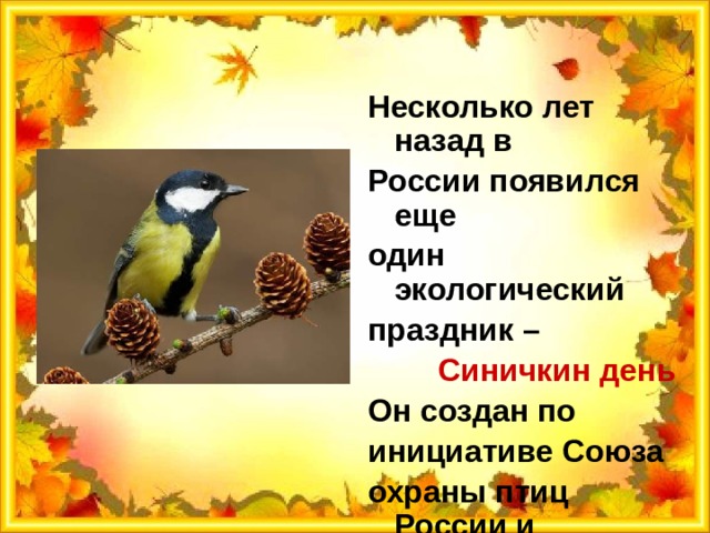 Несколько лет назад в России появился еще один экологический праздник –  Синичкин день  Он создан по инициативе Союза охраны птиц России и отмечается 12ноября 