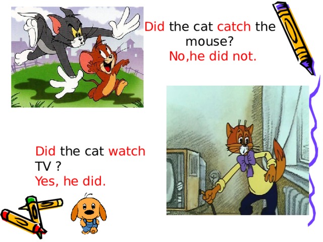 Did the cat catch the mouse? No,he did not. Did the cat watch TV ? Yes, he did. 