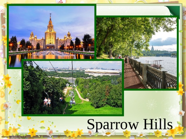 Sparrow Hills