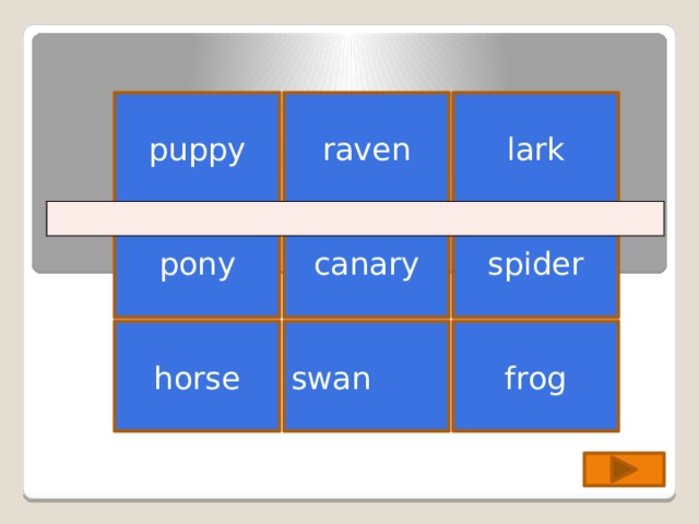 lark raven puppy pony spider canary horse frog swan 