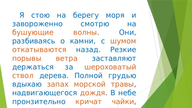  Я стою на берегу моря и завороженно смотрю на бушующие волны . Они, разбиваясь о камни, с шумом  откатываются назад. Резкие порывы ветра заставляют держаться за шероховатый ствол дерева. Полной грудью вдыхаю запах морской травы , надвигающегося дождя . В небе пронзительно кричат чайки , предвещая шторм.  