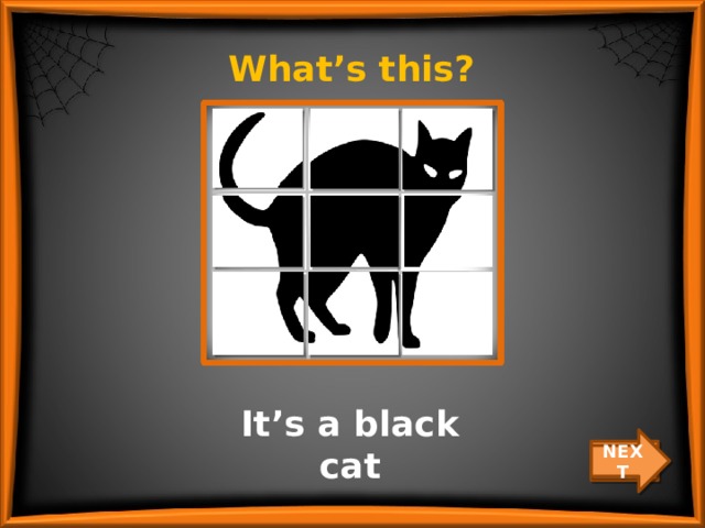 What’s this? It’s a black cat NEXT CHECK 