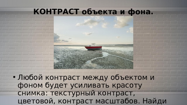 КОНТРАСТ объекта и фона.   Любой контраст между объектом и фоном будет усиливать красоту снимка: текстурный контраст, цветовой, контраст масштабов. Найди контрастный по тону фон для героя фотографии. 