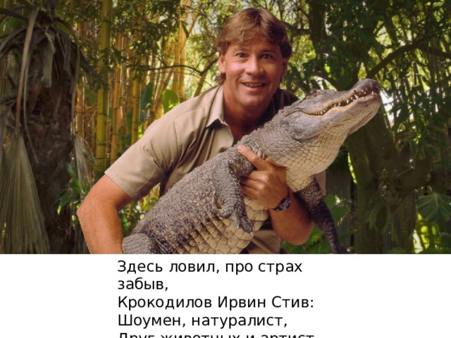 Здесь ловил, про страх забыв,  Крокодилов Ирвин Стив:  Шоумен, натуралист,  Друг животных и артист. 