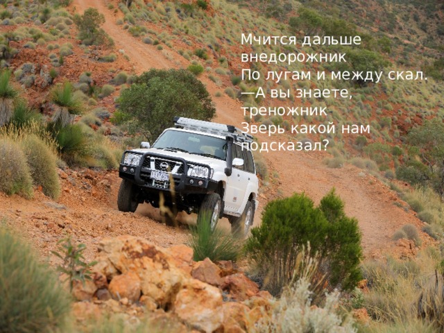   Мчится дальше внедорожник  По лугам и между скал.  —А вы знаете, треножник  Зверь какой нам подсказал?    