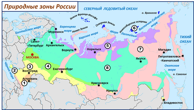 Какая природная зона изображена на рисунке