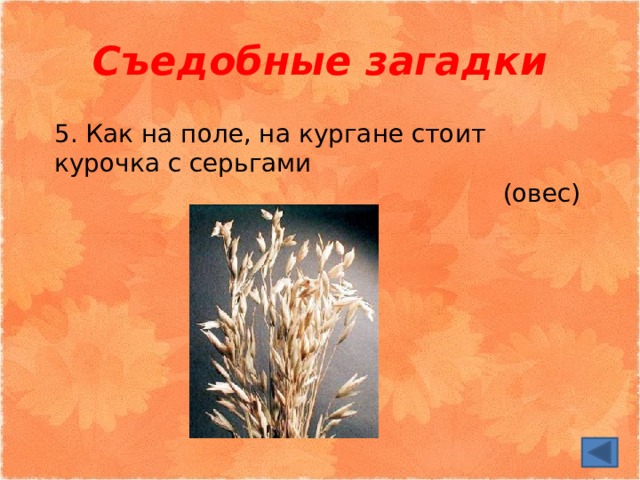 Съедобные загадки 5. Как на поле, на кургане стоит курочка с серьгами (овес) 