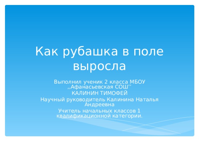 Как рубашка в поле выросла Выполнил ученик 2 класса МБОУ ,, Афанасьевская СОШ ’’ КАЛИНИН ТИМОФЕЙ Научный руководитель Калинина Наталья Андреевна Учитель начальных классов 1 квалификационной категории. 