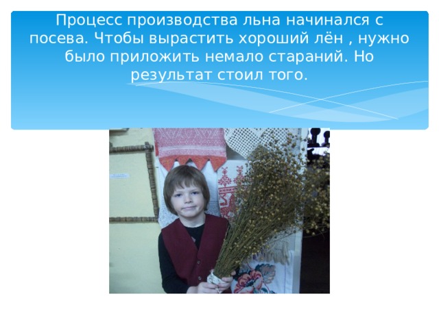 Процесс производства льна начинался с посева. Чтобы вырастить хороший лён , нужно было приложить немало стараний. Но результат стоил того. 