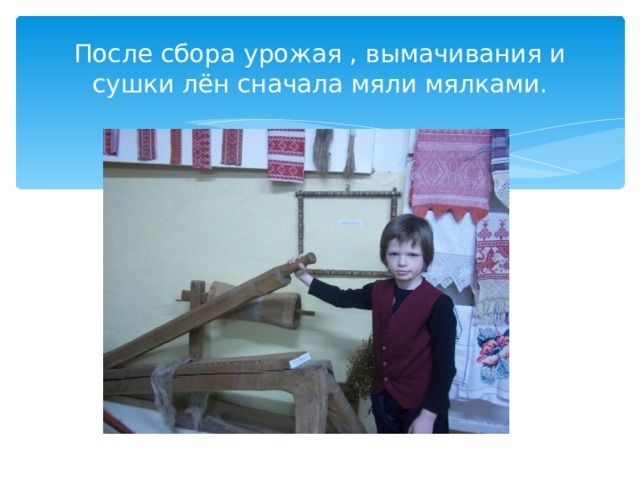 После сбора урожая , вымачивания и сушки лён сначала мяли мялками. 