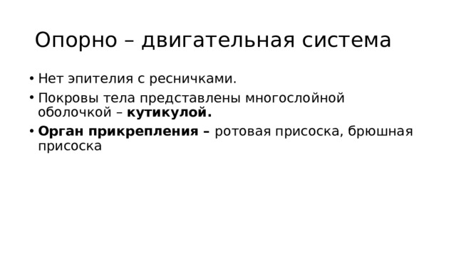 Опорно – двигательная система Нет эпителия с ресничками. Покровы тела представлены многослойной оболочкой – кутикулой. Орган прикрепления – ротовая присоска, брюшная присоска 