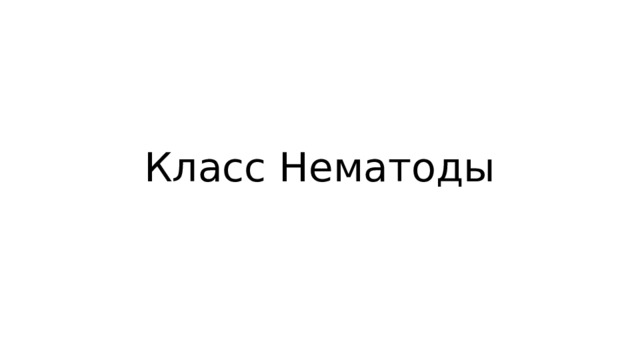 Класс Нематоды   