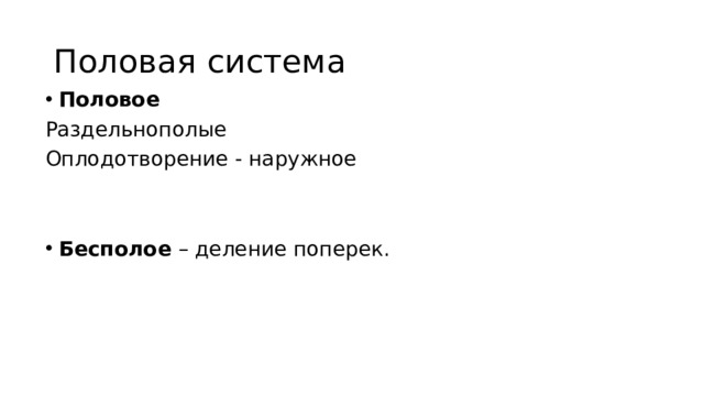 Половая система Половое Раздельнополые Оплодотворение - наружное Бесполое – деление поперек. 