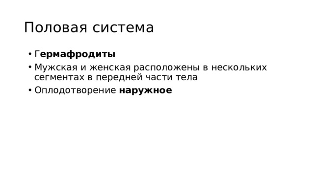 Половая система Г ермафродиты Мужская и женская расположены в нескольких сегментах в передней части тела Оплодотворение наружное  