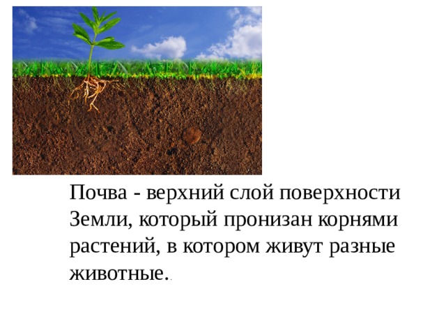 Почва - верхний слой поверхности Земли, который пронизан корнями растений, в котором живут разные животные. . 