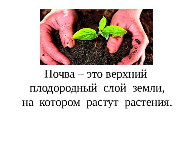 Почва – это верхний плодородный слой земли, на котором растут растения. 