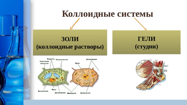 Коллоидные системы ЗОЛИ (коллоидные растворы) ГЕЛИ (студни) 