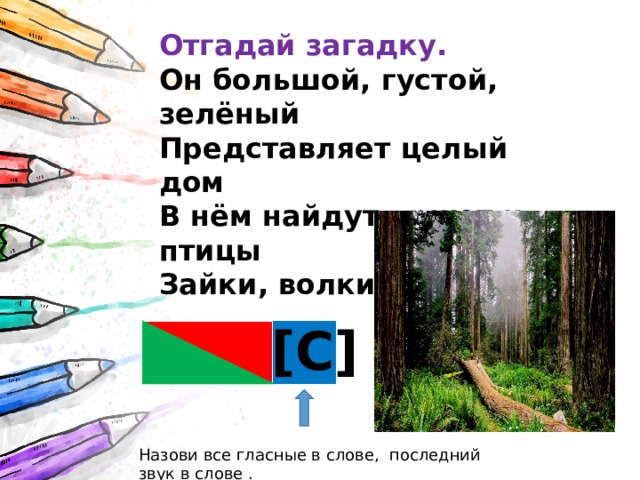 Отгадай загадку. Он большой, густой, зелёный Представляет целый дом В нём найдут приют и птицы Зайки, волки, кабаны. [С] Назови все гласные в слове, последний звук в слове . 