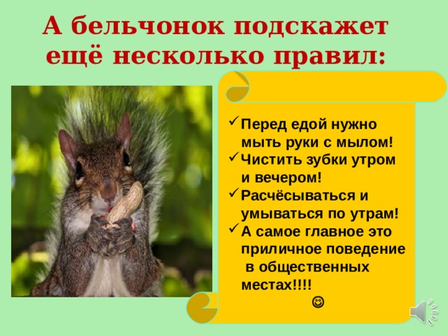 А бельчонок подскажет ещё несколько правил: Перед едой нужно мыть руки с мылом! Чистить зубки утром и вечером! Расчёсываться и умываться по утрам! А самое главное это приличное поведение в общественных местах!!!!  