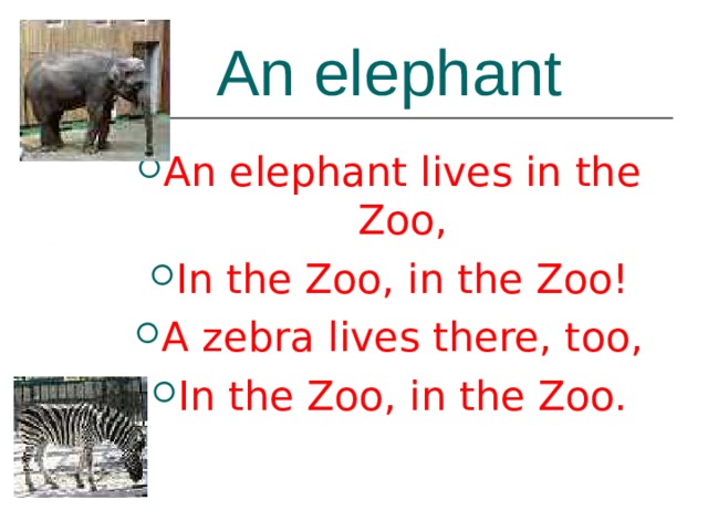 An elephant An elephant lives in the Zoo, In the Zoo, in the Zoo! A zebra lives there, too, In the Zoo, in the Zoo. 