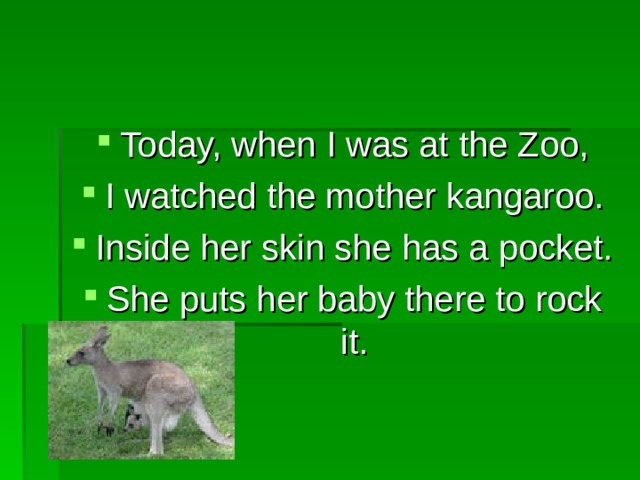 Today, when I was at the Zoo, I watched the mother kangaroo. Inside her skin she has a pocket. She puts her baby there to rock it. 