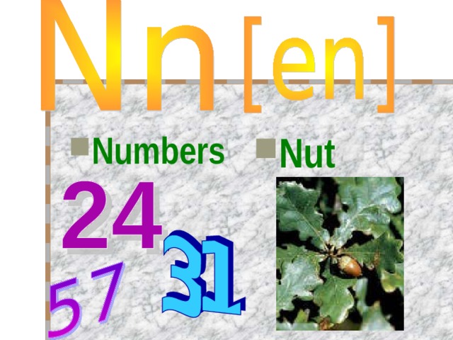 Numbers  Nut  