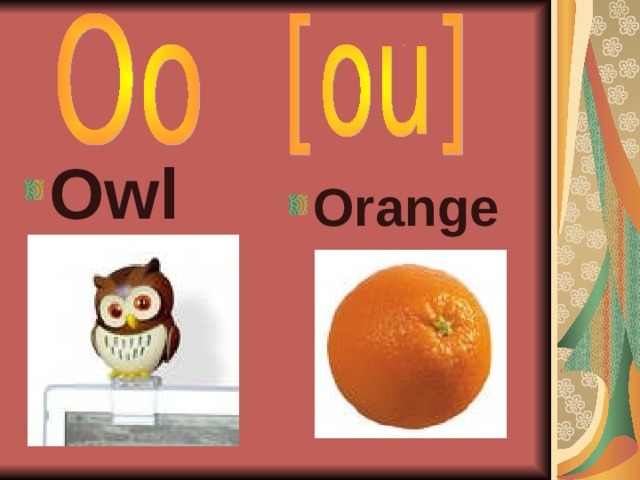 Owl  Orange  