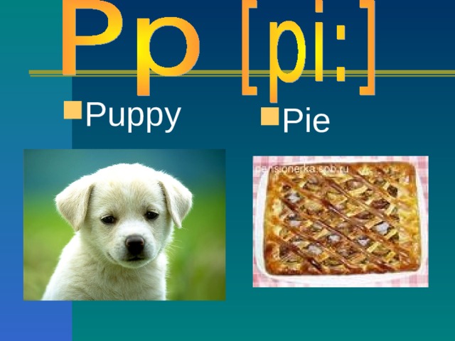 Puppy  Pie  