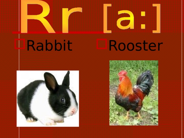 Rabbit  Rooster  