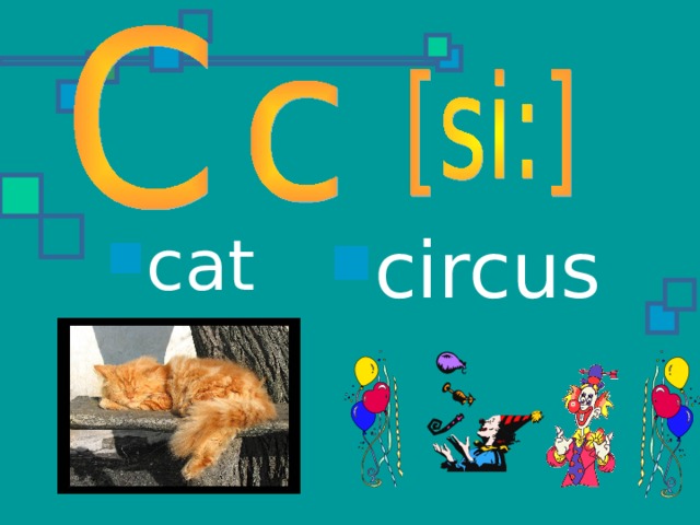 cat circus 