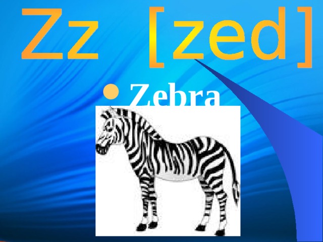 Zebra  