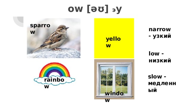 ow [əʊ] э у sparrow narrow - узкий yellow low - низкий slow - медленный rainbow window 