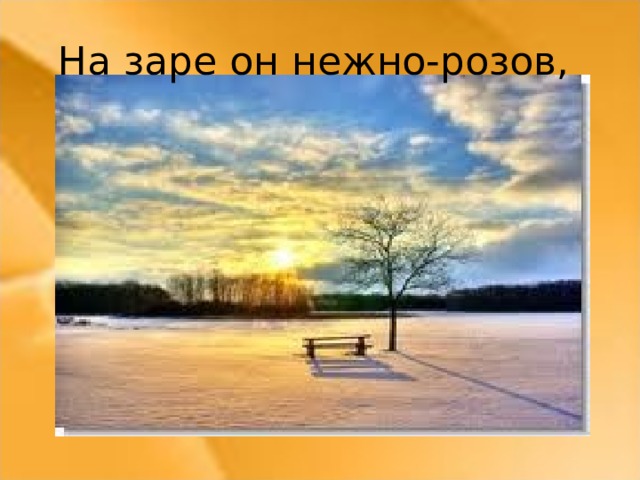 На заре он нежно-розов,  