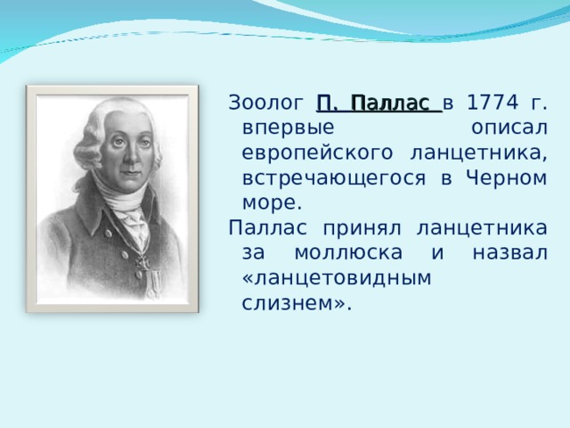 Зоолог П. Паллас в 1774 г. впервые описал европейского ланцетника, встречающегося в Черном море. Паллас принял ланцетника за моллюска и назвал «ланцетовидным слизнем». 