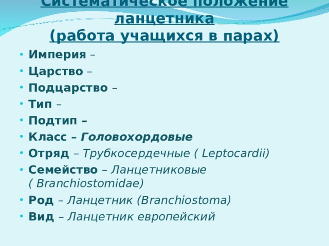 Систематическое положение ланцетника  (работа учащихся в парах) Империя – Царство – Подцарство – Тип – Подтип – Класс – Головохордовые Отряд – Трубкосердечные ( Leptocardii) Семейство – Ланцетниковые ( Branchiostomidae) Род – Ланцетник ( Branchiostoma) Вид – Ланцетник европейский 