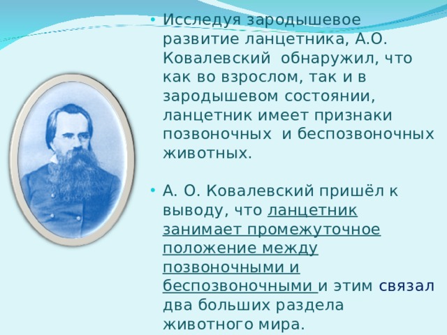 Исследуя зародышевое развитие ланцетника, А.О. Ковалевский обнаружил, что как во взрослом, так и в зародышевом состоянии, ланцетник имеет признаки позвоночных и беспозвоночных животных.  А. О. Ковалевский пришёл к выводу, что ланцетник занимает промежуточное положение между позвоночными и беспозвоночными и этим связал два больших раздела животного мира. 