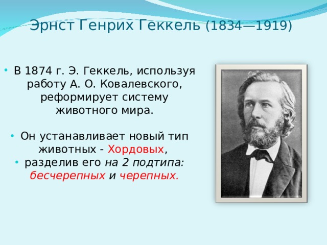 Эрнст Генрих Геккель (1834—1919)   В 1874 г. Э. Геккель, используя работу А. О. Ковалевского, реформирует систему животного мира. Он устанавливает новый тип животных - Хордовых , разделив его на 2 подтипа: бесчерепных и черепных.  