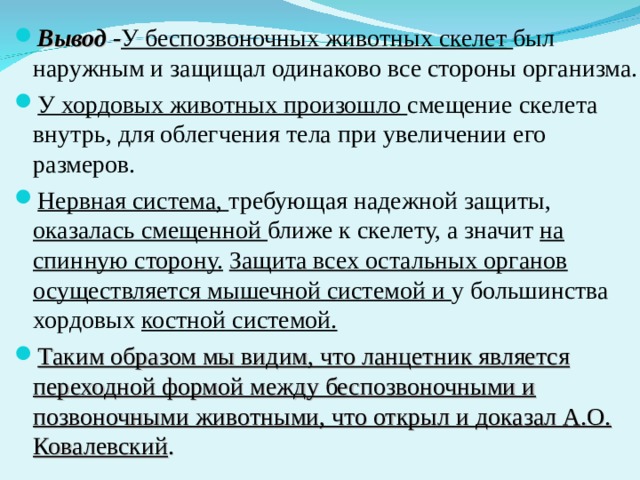 Вывод - У беспозвоночных животных скелет был наружным и защищал одинаково все стороны организма. У хордовых животных произошло смещение скелета внутрь, для облегчения тела при увеличении его размеров. Нервная система, требующая надежной защиты, оказалась смещенной ближе к скелету, а значит на спинную сторону.  Защита всех остальных органов осуществляется мышечной системой и у большинства хордовых костной системой. Таким образом мы видим, что ланцетник является переходной формой между беспозвоночными и позвоночными животными, что открыл и доказал А.О. Ковалевский .  