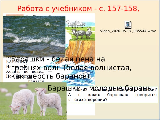 Работа с учебником - с. 157-158, упр. 4   Барашки - белая пена на гребнях волн (белая волнистая, как шерсть баранов). Барашки – молодые бараны.