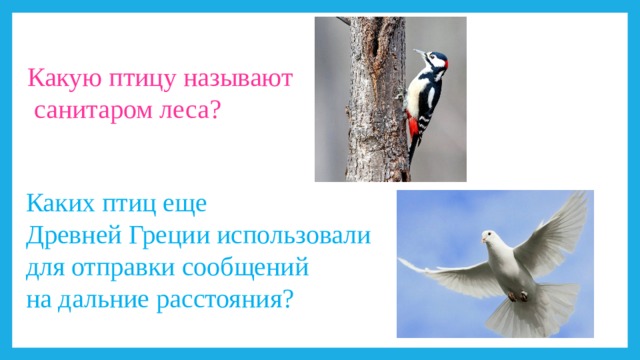 Какую птицу называют  санитаром леса? Каких птиц еще Древней Греции использовали для отправки сообщений на дальние расстояния? 
