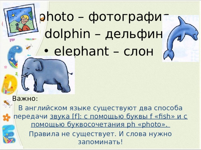 photo – фотография dolphin – дельфин elephant – слон Важно: В английском языке существуют два способа передачи звука [f]: с помощью буквы f «fish» и с помощью буквосочетания ph «photo». Правила не существует. И слова нужно запоминать! 