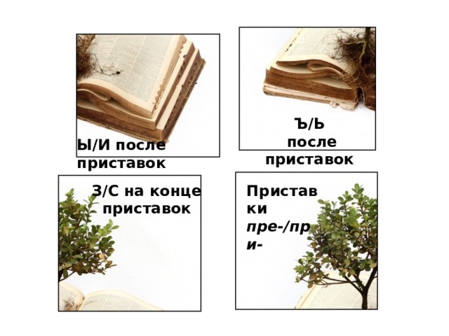 Ъ/Ь  после приставок Ы/И после приставок З/С на конце приставок Приставки пре-/при- 