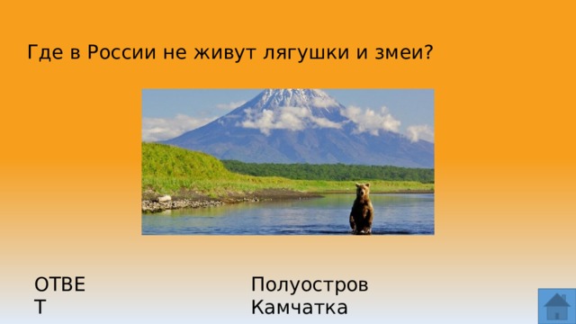 Где в России не живут лягушки и змеи? ОТВЕТ Полуостров Камчатка  