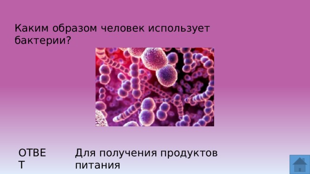 Каким образом человек использует бактерии? ОТВЕТ Для получения продуктов питания  