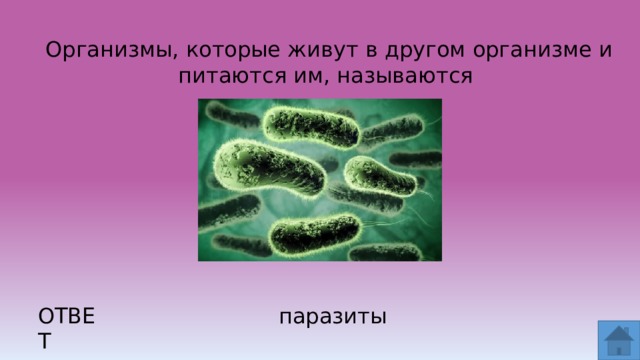 Организмы, которые живут в другом организме и питаются им, называются  ОТВЕТ паразиты  